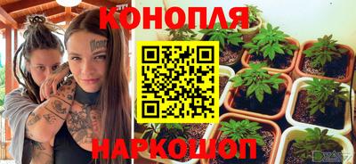 гидра Малгобек